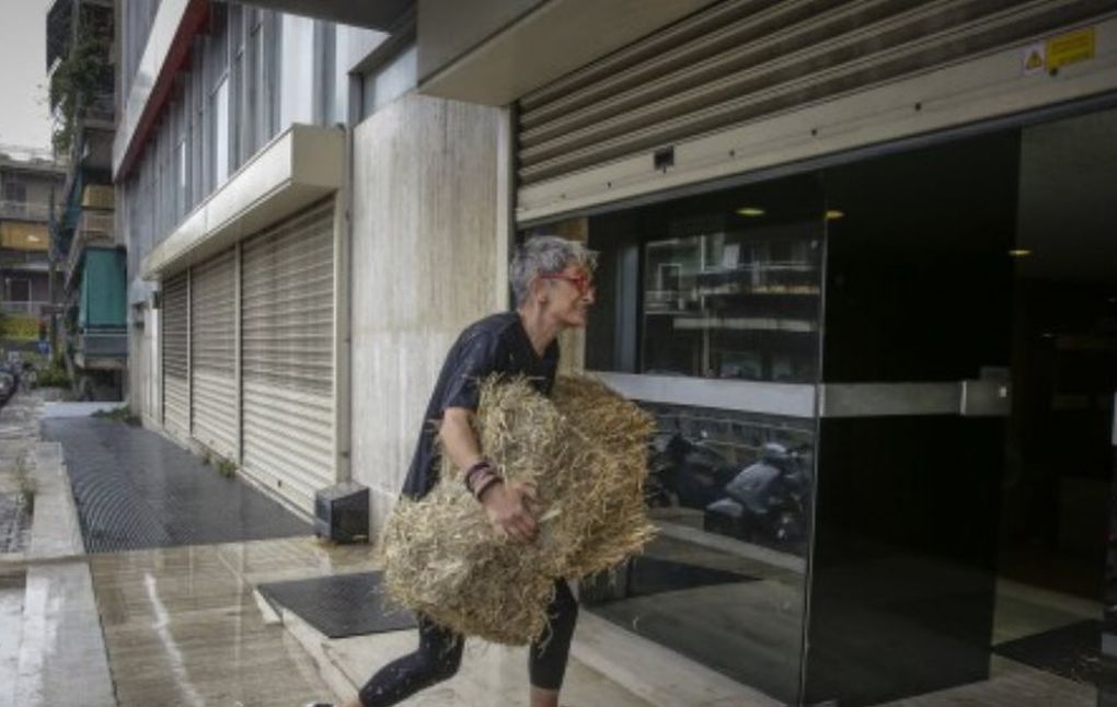 Πέταξαν… σανό στα γραφεία των ΑΝΕΛ