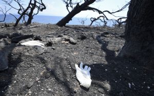 Πέρυσι Πορτογαλία, φέτος Ελλάδα