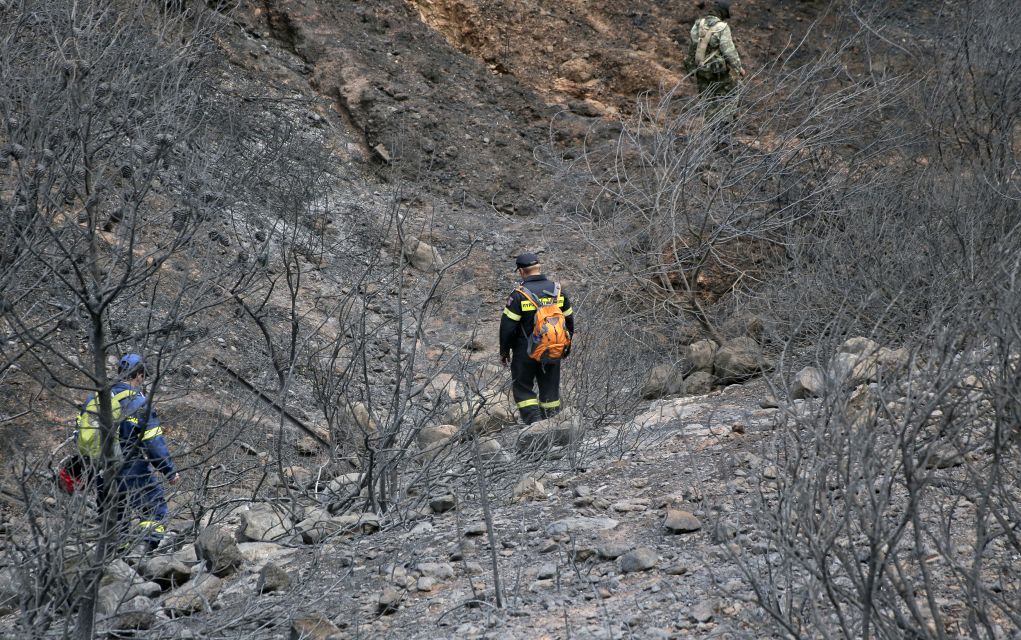 Αθήνα: Βρετανοί εμπειρογνώμονες στην Αττική για τις πυρκαγιές