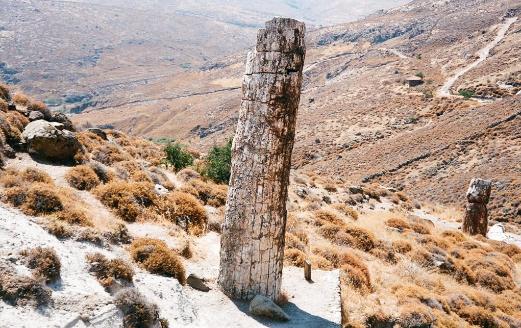 Τσέχοι θέλησαν να κλέψουν απολιθώματα από τη Λέσβο