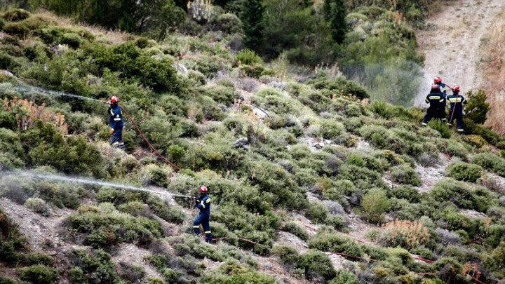 Σε ύφεση η πυρκαγιά στον Κιθαιρώνα Αττικής