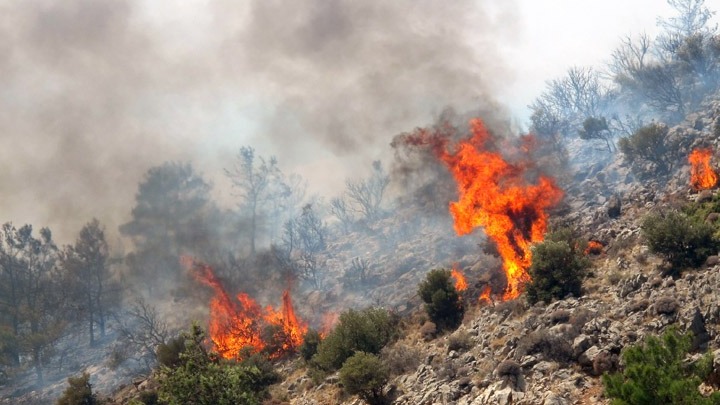 Υπό μερικό έλεγχο η πυρκαγιά στον Κιθαιρώνα Αττικής