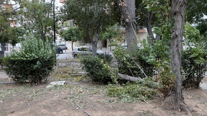 Μαζικές κοπές δέντρων μετά την κακοκαιρία στη Χαλκιδική