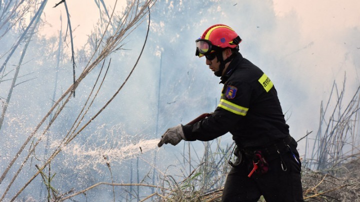 Υπό μερικό έλεγχο η φωτιά στο Γλυκορρίζι Μεσσηνίας