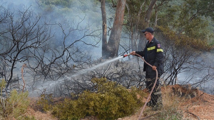 Είκοσι τέσσερις δασικές πυρκαγιές εκδηλώθηκαν το τελευταίο 24ωρο σε όλη την Ελλάδα