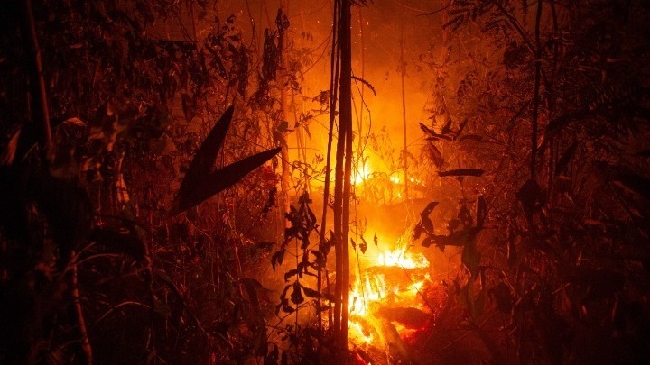 Πυρκαγιές στον Αμαζόνιο:  63 συλλήψεις και πρόστιμα 8,7 εκατ. δολ. ανακοίνωσε η Βραζιλία