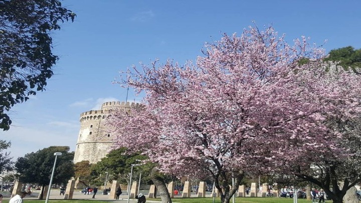 Η Ένωσης Ξενοδόχων Θεσσαλονίκης αποχωρεί  από τον Οργανισμό Τουρισμού