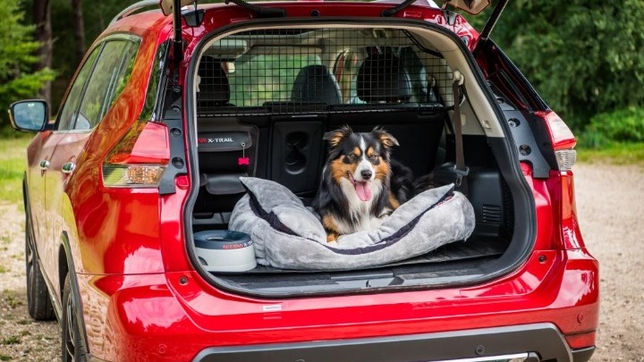 Βραβείο για το Nissan X-Trail στα Sunday Times Motor Awards 2019, στη Μεγάλη Βρετανία