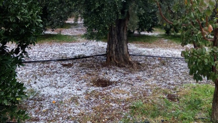 Καταστροφές σε καλλιέργειες από χαλάζι και καταπτώσεις βράχων από τις ισχυρές βροχοπτώσεις στα Τρίκαλα