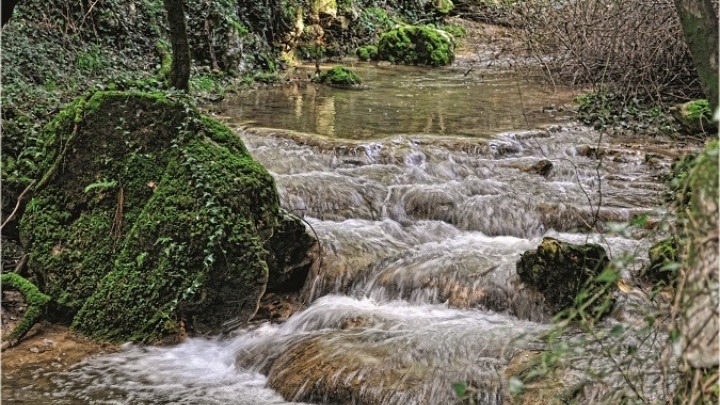 Τα μυστικά του Αφιώνα και οι πλανεύτρες σειρήνες της Ναυσικάς