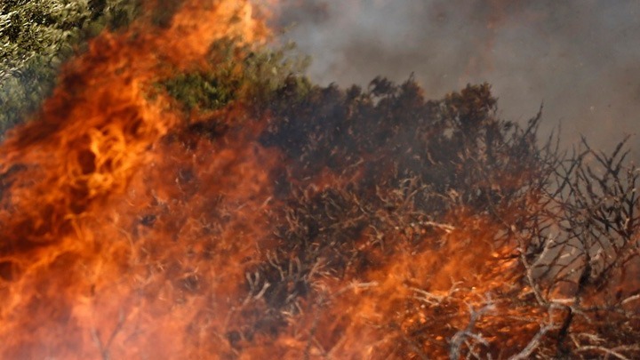 Πυρκαγιά στην περιοχή Πλατιές Κεφαλονιάς