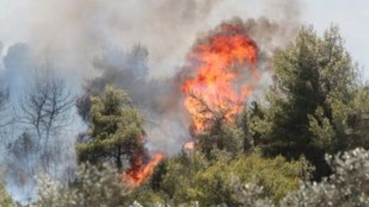 Οι τεράστιες πυρκαγιές στην Αυστραλία ενδέχεται να καταστούν συνηθισμένο φαινόμενο, προειδοποιούν οι επιστήμονες