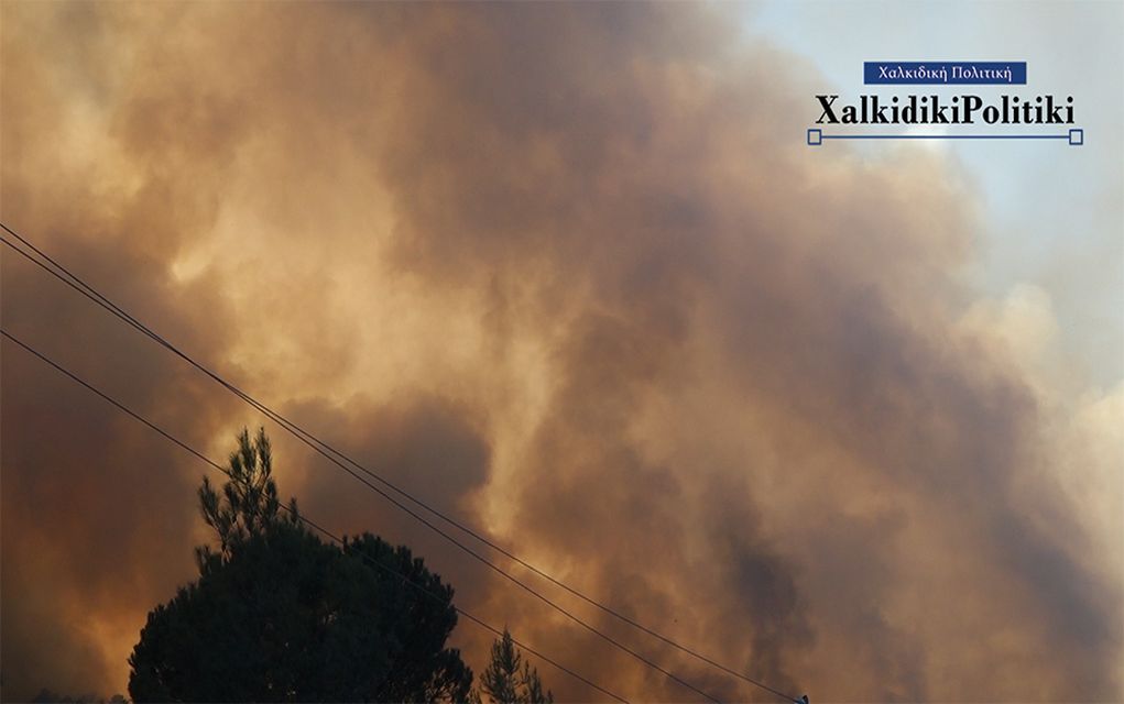 Άγιο Όρος: Σε εξέλιξη η κατάσβεση της φωτιάς