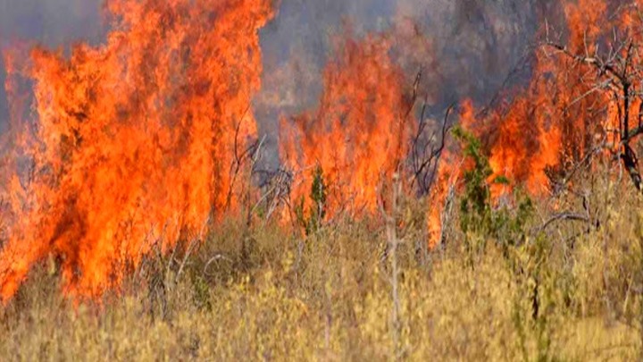 Πυροσβεστική: 21 δασικές πυρκαγιές το τελευταίο 24ωρο