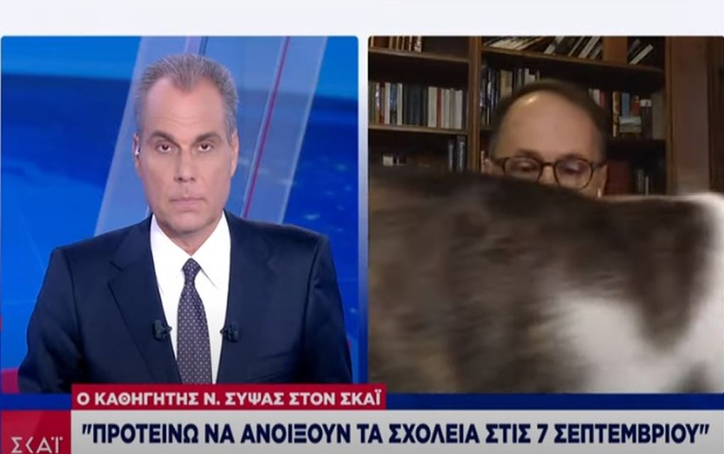 Η «εισβολή» της γάτας του λοιμωξιωλόγου Ν. Σύψα στο δελτίο του ΣΚΑΪ (vid)