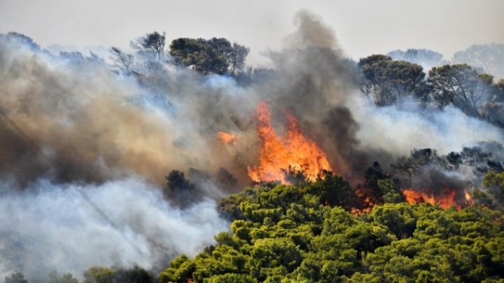 Έβρος: Σε εξέλιξη η πυρκαγιά που εκδηλώθηκε χθες μεταξύ των οικισμών Μελίας και Νίψας