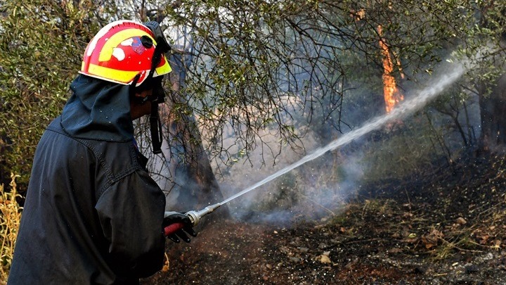 Υπό μερικό έλεγχο η φωτιά στις Κροκέες Λακωνίας