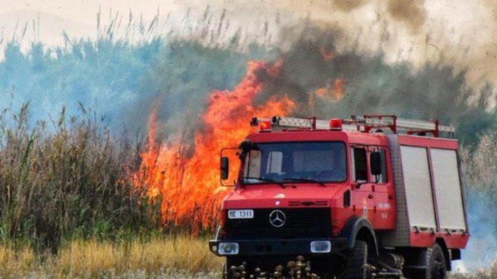 Φωτιά σε δασική έκταση στην περιοχή Χρυσοκελλαριά στη Μεσσηνία