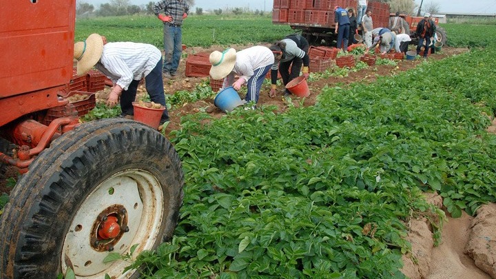 Πιστώνεται σήμερα το 70% της Βασικής Ενίσχυσης σε 540.000 αγρότες