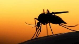 Ελασσόνα: Με ελονοσία διαγνώστηκε μαθήτρια πρώτης δημοτικού