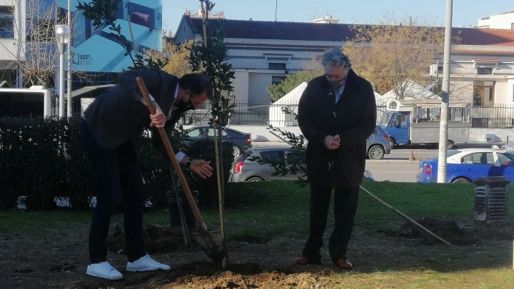 Τέσσερις δάφνες για την Πρωτοχρονιά των Δέντρων