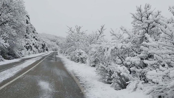 Συστάσεις προς αγρότες, κτηνοτρόφους και μελισσοκόμους του Έβρου εν αναμονή της κακοκαιρίας