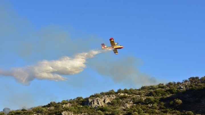 Βοιωτία: Φωτιά στον Πρόδρομο – Μήνυμα του 112 για την ετοιμότητα των κατοίκων