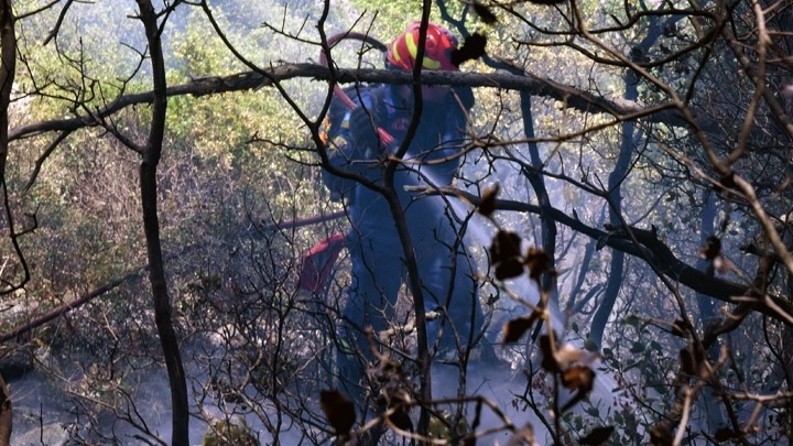 Περιφερειακό Συμβούλιο Αττικής: Να κηρυχτεί άμεσα αναδασωτέα η περιοχή των Γερανείων