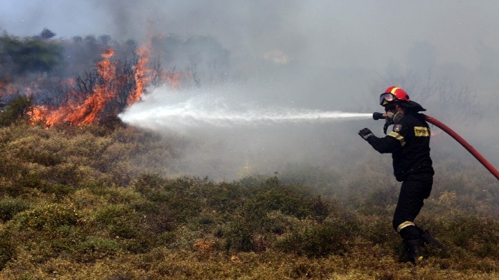 Φθιώτιδα: Σε ύφεση η φωτιά στην περιοχή Βίτωλης