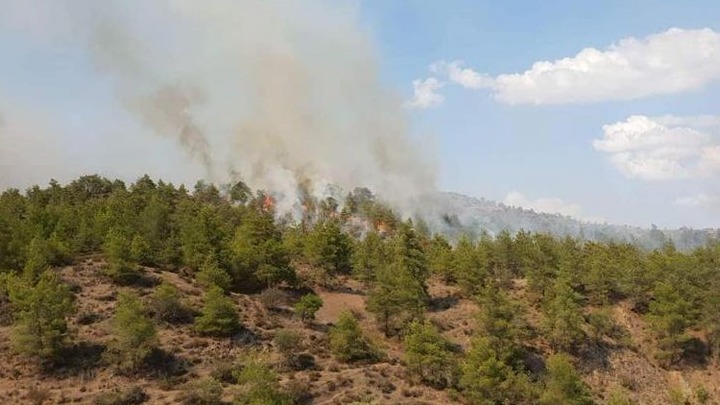 Πολιτική Προστασία: Πολύ υψηλός κίνδυνος πυρκαγιάς την Τετάρτη σε 4 Περιφέρειες