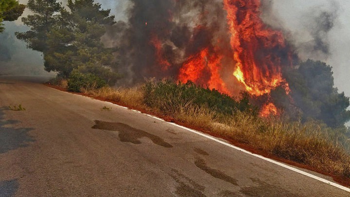 Πυροσβεστικό Σώμα: 53 δασικές πυρκαγιές σήμερα στη χώρα