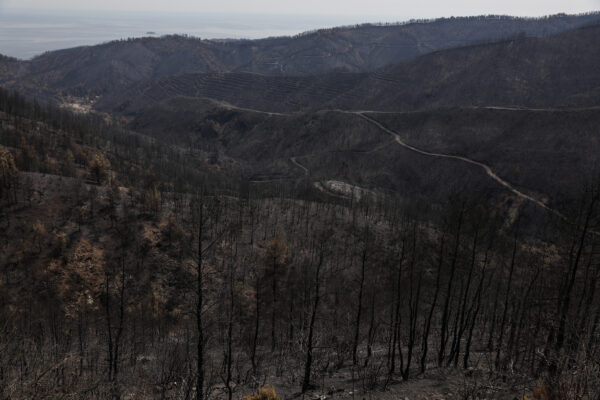 EFFIS - Πυρκαγιές: Περισσότερα από ένα εκατομμύριο στρέμματα κάηκαν μέσα σε δύο εβδομάδες στην Ελλάδα