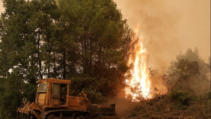 Φωτιά στην Εύβοια: Μάχη με τις αναζωπυρώσεις