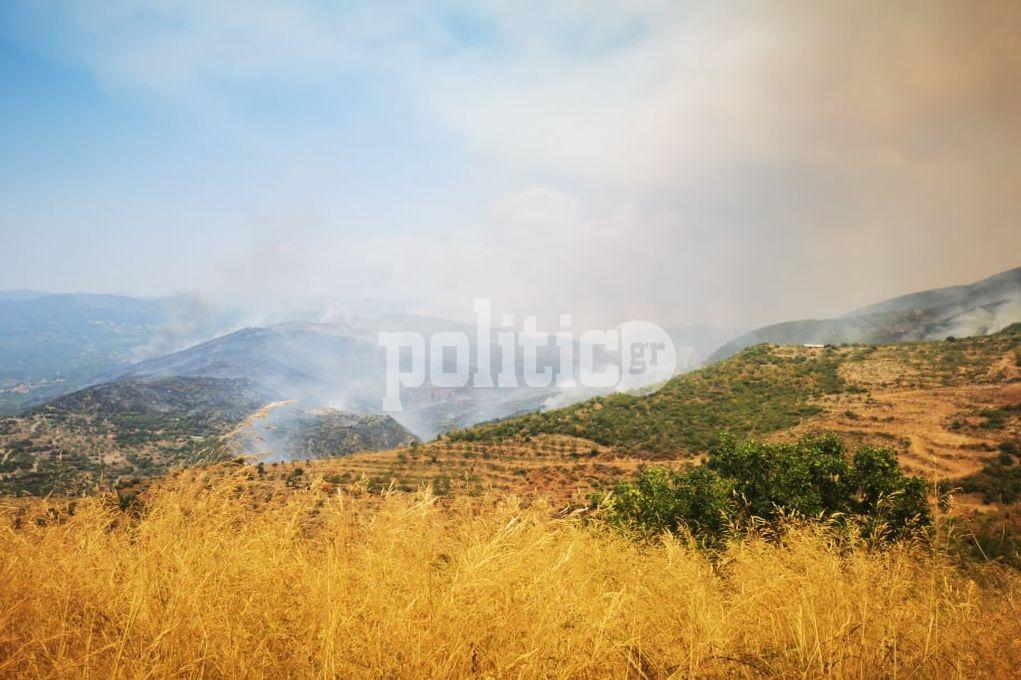 Αποκλειστικό: Το politic.gr στην καμένη Μεσσηνία (vids & pics)