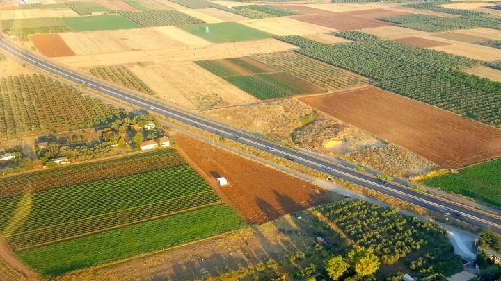 ΕΒΕΘ: Αξιοποίηση ακαλλιέργητων εκτάσεων του Δημοσίου για την καλλιέργεια σιτηρών