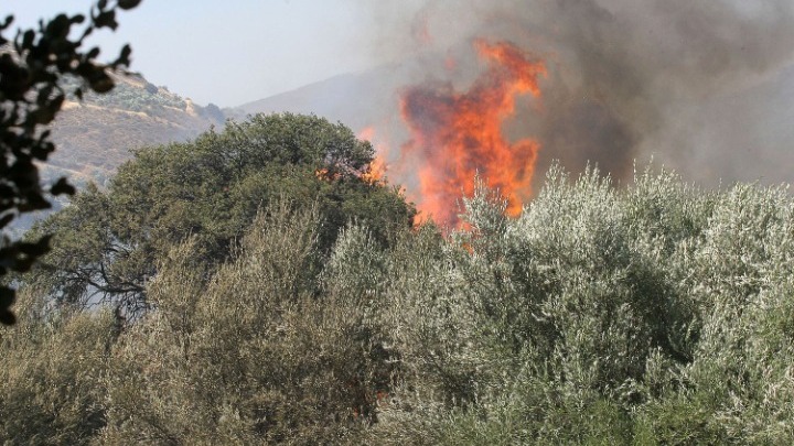 Δυσμενείς οι πυρομετεωρολογικές συνθήκες, σήμερα και την Τετάρτη