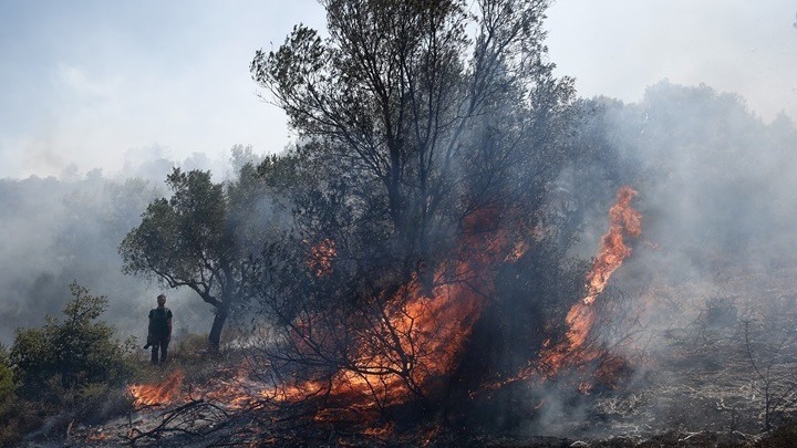 Καλαμάτα: Σε εξέλιξη η φωτιά στην περιοχή Ακριτοχώρι (vids)