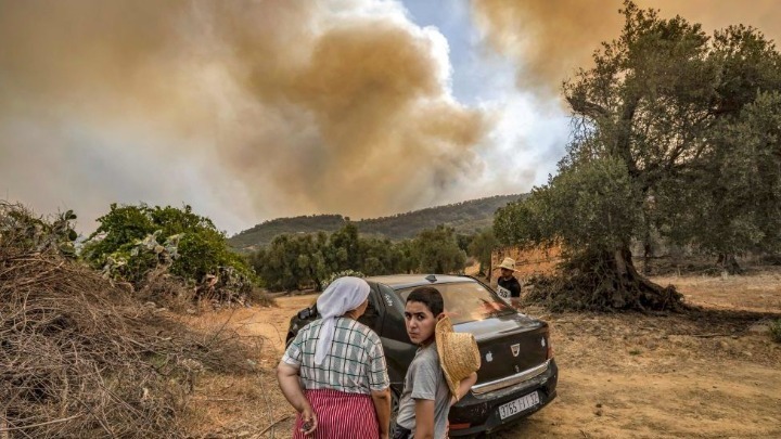 Μαρόκο: Περίπου 46.600 στρέμματα απανθρακώθηκαν