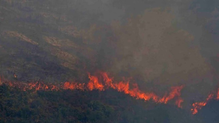 Οριοθετήθηκε η δασική πυρκαγιά στο Νέο Πετρίτσι Σερρών