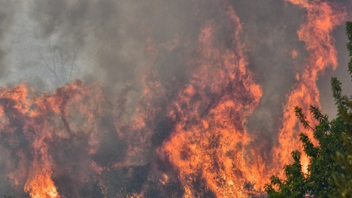 Σαράντα δασικές πυρκαγιές το τελευταίο 24ωρο