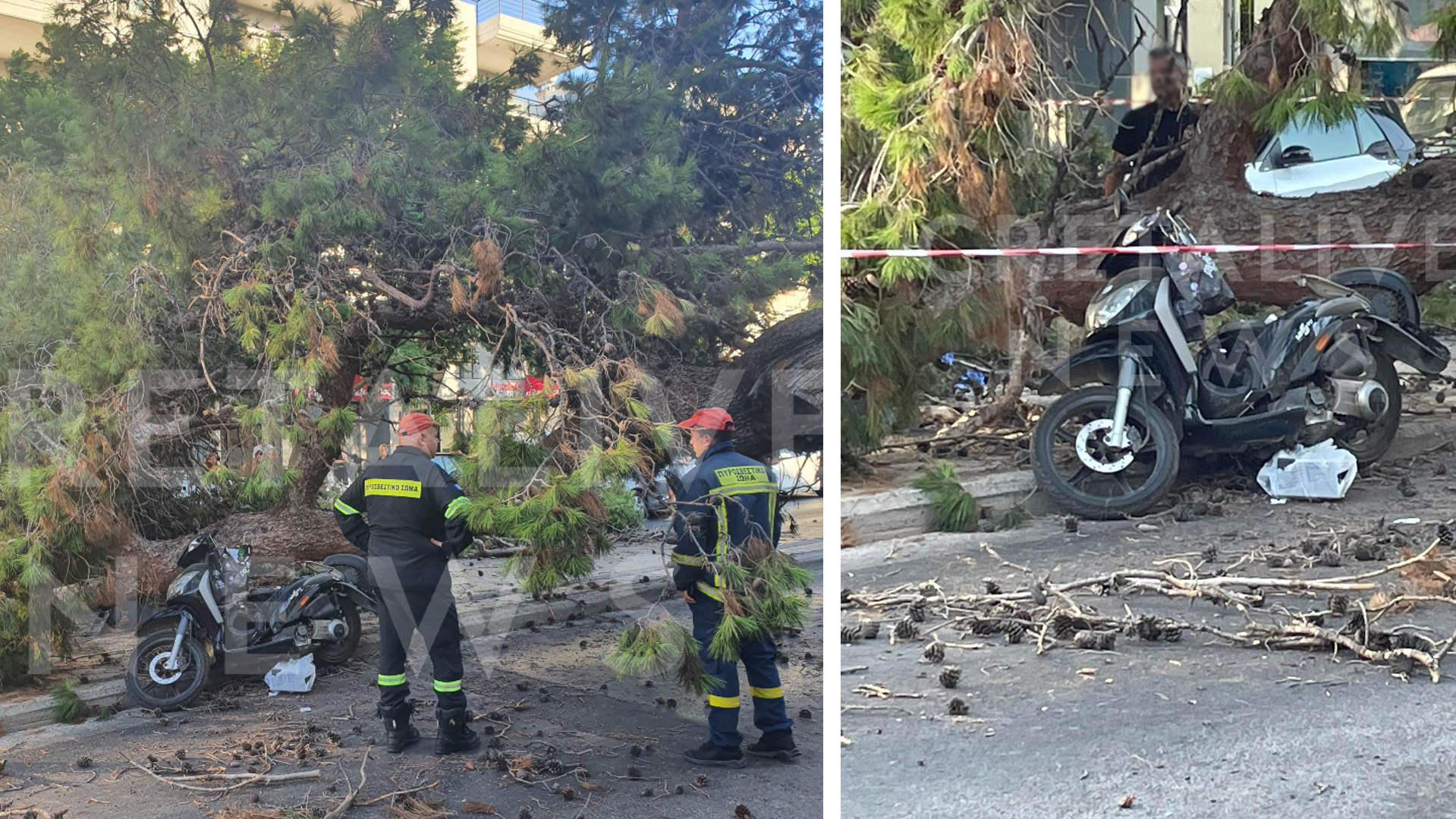 Κρήτη: Σε κατάσταση σοκ η τοπική κοινωνία μετά τον θάνατο του 51χρονου που καταπλακώθηκε από δέντρο