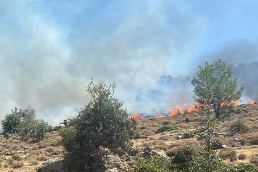 Λέσβος: Φωτιά σε χαμηλή βλάστηση - Επιχειρούν πυροσβεστικές δυνάμεις - Στόχος να μην απειληθεί το δάσος