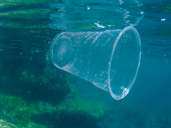 Πρέβεζα: Πάνω από 1.700 κιλά πλαστικό απομακρύνθηκαν από τον Αμβρακικό από την αρχή του έτους