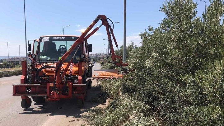 Ο Δήμος Καλαμαριάς δίνει εξηγήσεις για τις κοπές δέντρων στο έργο «Στρατηγικές Αστικές Αναπλάσεις»