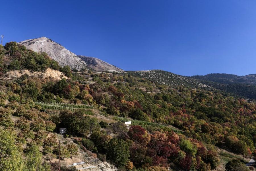 Εκτός σχεδίου δόμηση: Έρχεται νέα ρύθμιση για τη δόμηση στα οικόπεδα κάτω των 4 στρεμμάτων