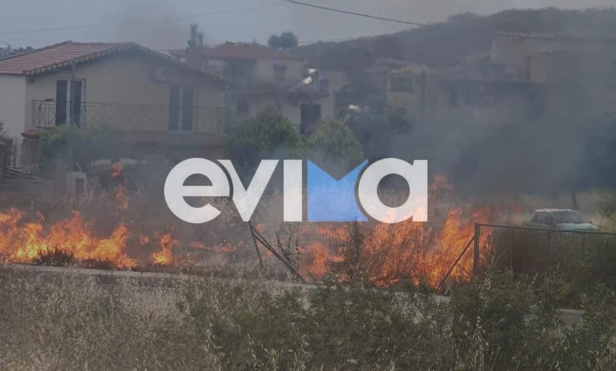 Σε εξέλιξη φωτιά κοντά σε σπίτια στην Εύβοια