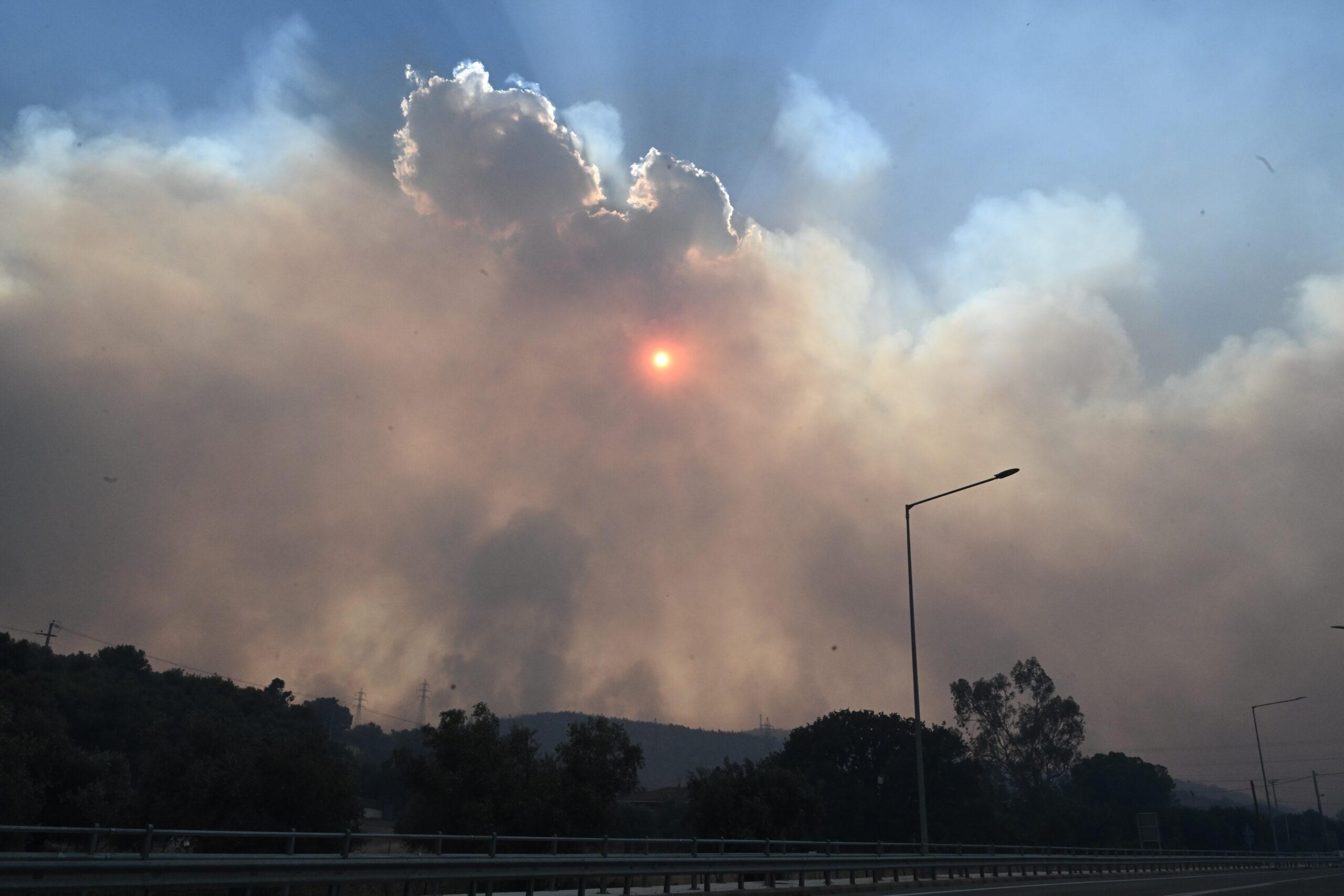 Φωτιά στον Λαχανά Θεσσαλονίκης