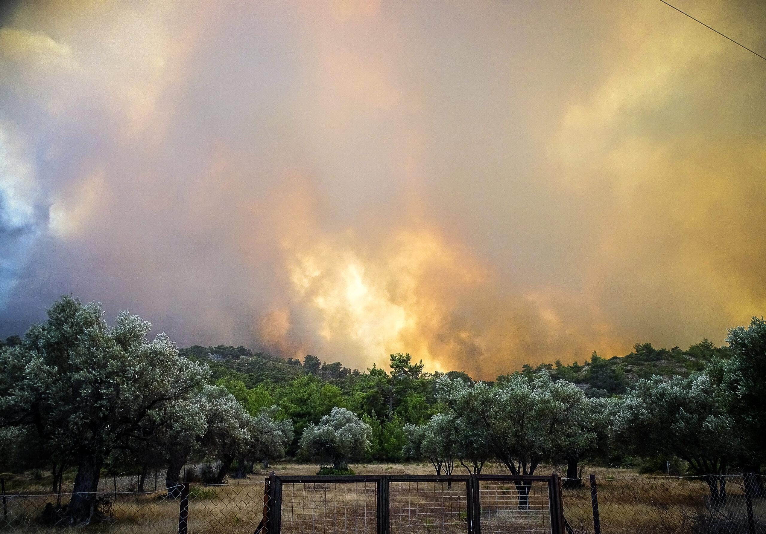 Λέκκας: «Πλήττεται το κέντρο του περιβάλλοντος της Ρόδου»