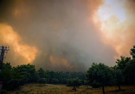 Πυροσβεστική: 51 δασικές πυρκαγιές το τελευταίο 24ωρο