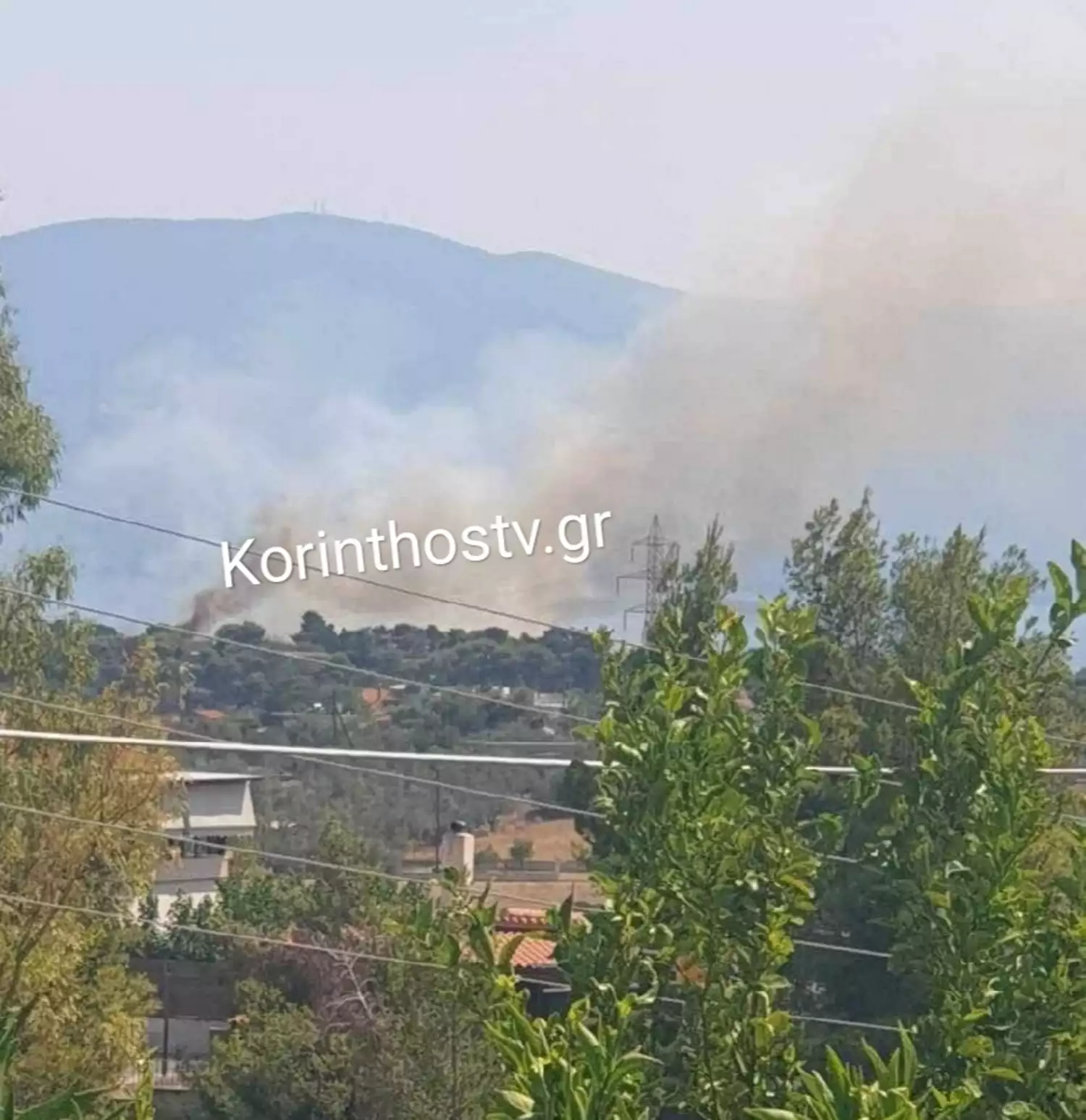 Φωτιά στους Αγίους Θεοδώρους: Επιχειρούν επίγειες και εναέριες δυνάμεις της πυροσβεστικής